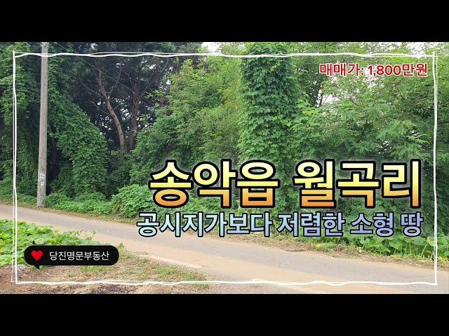 [매매완료][매물 번호:2749][급매]당진토지매매당진시 송악읍 월곡리 공시지가보다싼땅, 투자하기 좋은 소형 땅 / 121평(400m2) /매매가 1,800만원