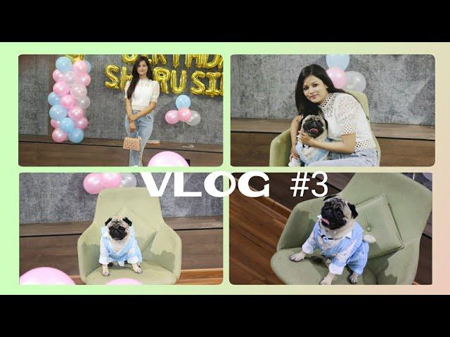 Ekta Singh - Shiru's Grand Birthday Celebration Pawty | 3rd birthday | #happybirthdayshiru