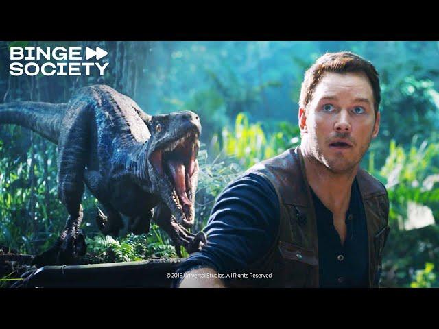 Jurassic World: El Reino Caído | Rastreando a Blue