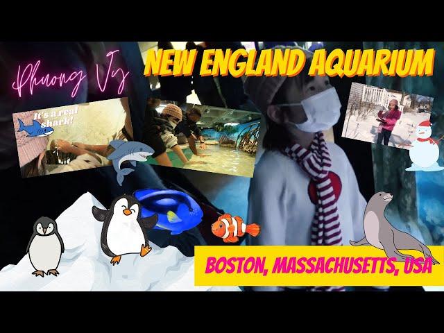 "Boston and the New England Aquarium" Phuong Vy Family Adventure - Phuong Vy Vlog