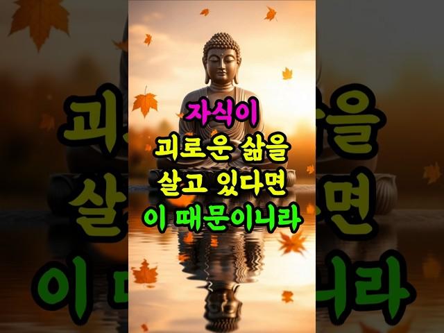 자식이 괴로운 삶을 살고 있다면 이것때문이니라 #부처님말씀 #자식운명 #부모공덕 #불교명언 #마음공부