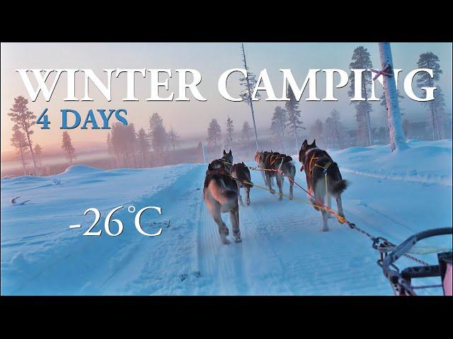 Dog sledding & Winter Camping in a Hot Tent | 4 days Siberian Husky Tour Lapland