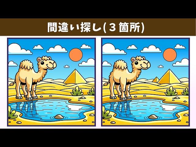 Spot the 3 Differences | Illustration Version #1755