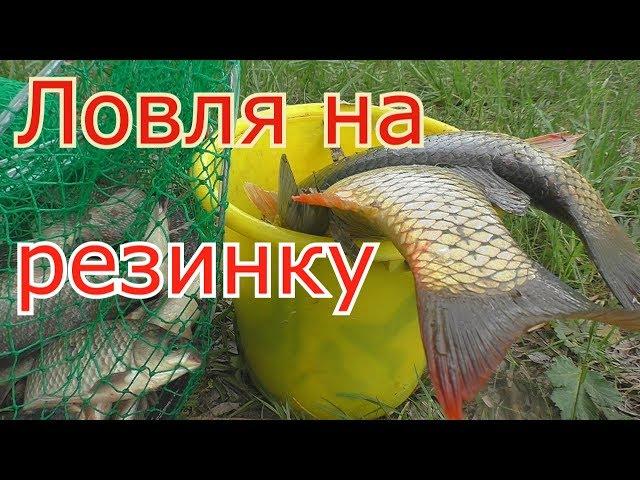 Рыбалка на РЕЗИНКУ и ловля карпов на закидушку (Часть 1). My fishing