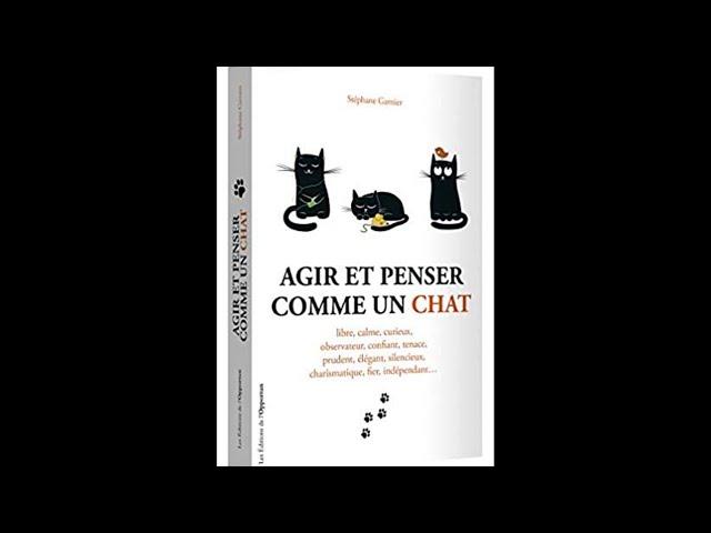 Livre : " Agir et penser comme un chat " - ou comment s'inspirer de son chat pour mieux vivre