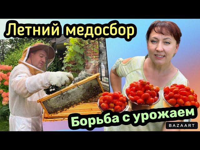 Жизнь в Канаде// Рыбалка - Безрыбалка// Качаем Летний Мёд// Борьба с Урожаем