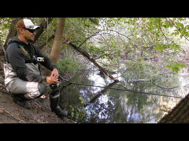 Catching Pike on a Spinning reel. Pike fishing with a Spoon lure.