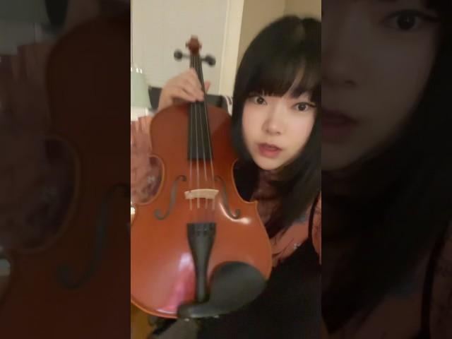 Money can’t buy happiness?? #viola #violin #classicalmusic