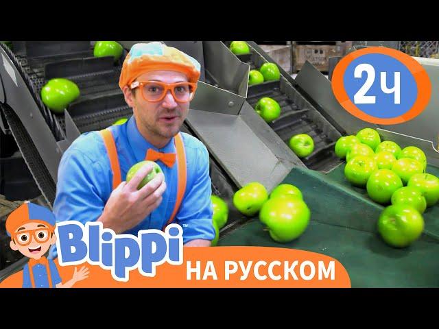 Блиппи на яблочной фабрике | Изучай этот мир вместе с Блиппи | Blippi Russian