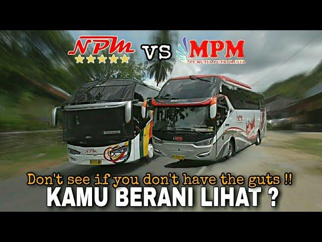 Aksi menegangkan Bus NPM vs Bus MPM || Bus Balapan