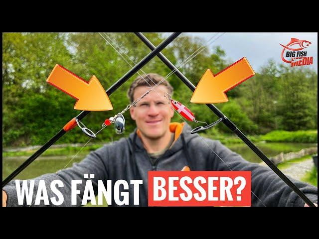 GREWALD-DUELL: SPOON vs. SPINNER – was fängt besser am Forellensee?