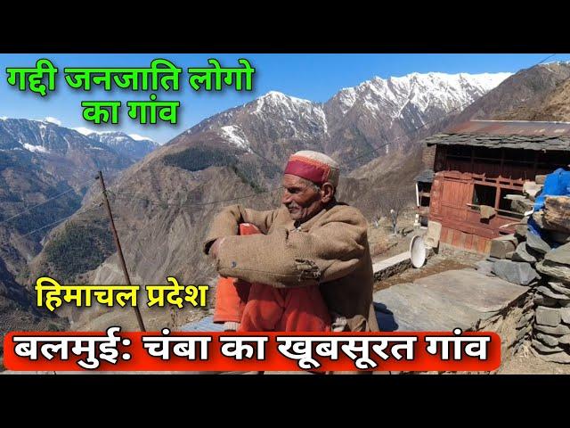 Balmui A Beautiful Village Of Gaddis Tribe | Chamba,Himachal Pradesh | Rural Village Lifestyle Vlog