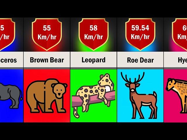 Comparison: Animal Speed