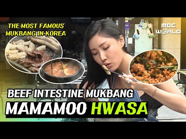 [C.C.] The Most Famous 'BEEF INTESTINE MUKBANG' In Korea #MAMAMOO #HWASA