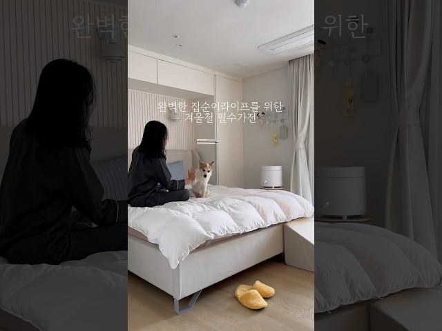 완벽한 집순이라이프를 위한 필수가전 l 스텐팟 가습기 l 안방인테리어 l 신혼집 침실 꾸미기 l 비트라 행잇올 l 몬타나 서랍장 l 컬러인테리어 l 가열식 가습기 공구 예고