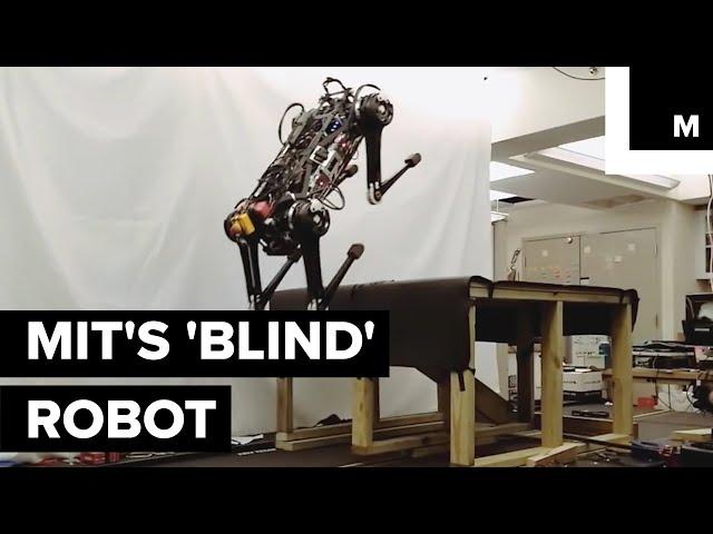 This 'Blind' Robot Can Jump On Your Table And Chase You In The Dark Even When Its Leg Is Broken