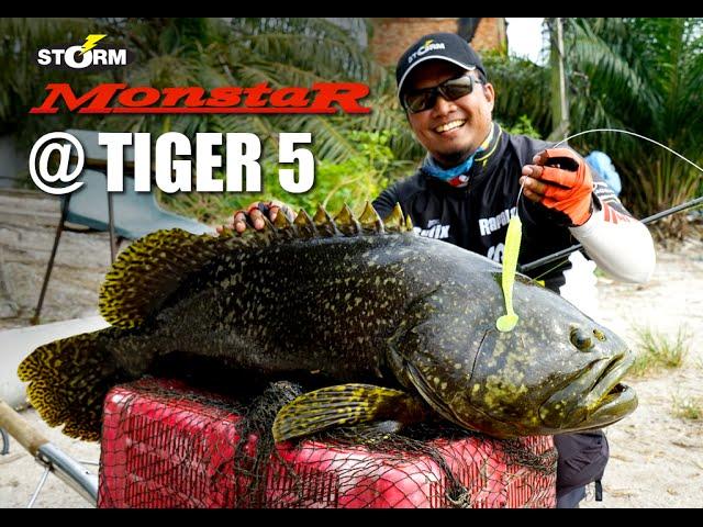 Monster Grouper Fishing at Tiger 5 featuring Storm Monstar Rod