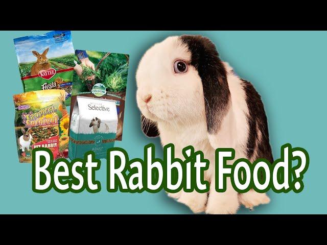 Rating Rabbit Pellets | Best and Worst Brands