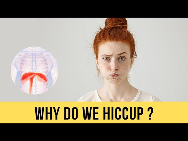 Why do we get Hiccups? | हिचकी क्यों आती है? | Fun Fact of the week | IPF | #shorts