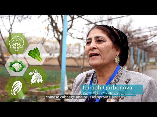 Diet Diversity: RECIPE OF SALAD WITH BROCCOLI