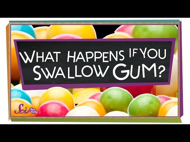 What Happens If You Swallow Gum?