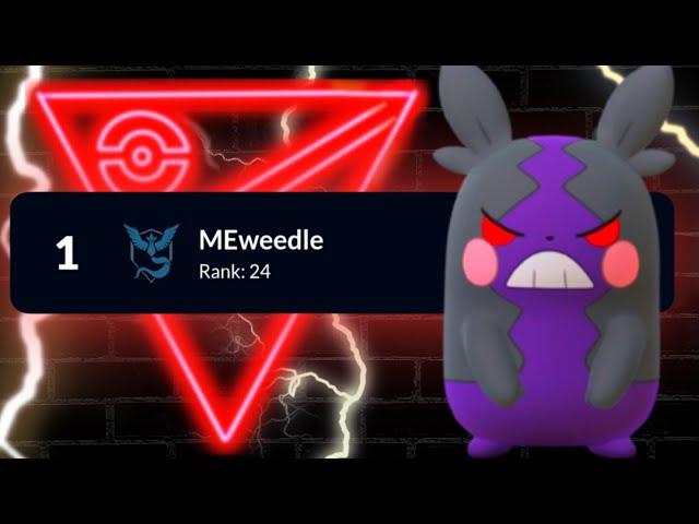 Meweedle hit 3329 ELO and *RANK 1 IN THE WORLD* with Morpeko! | Pokémon GO PvP