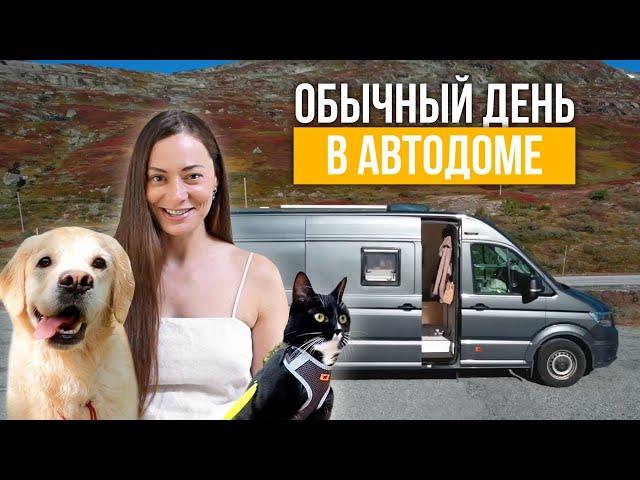 Обычный скучный день в автодоме