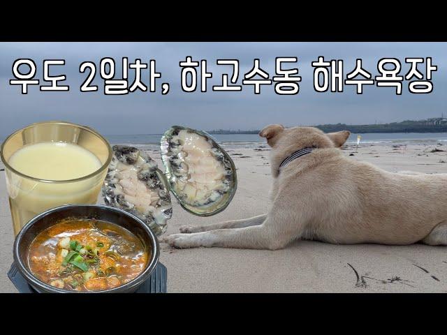 우도 여행 브이로그| 우도, 우도 맛집, 우도고래펜션, 하고수동해수욕장, 우도 자전거, 우도 전복회, 우도 국밥, 우도해장국밥, 해와달그리고섬, 우도 횟집, 제주도 우도, 여행