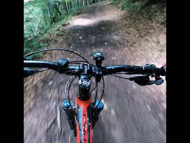 Azuga MTB - Verde