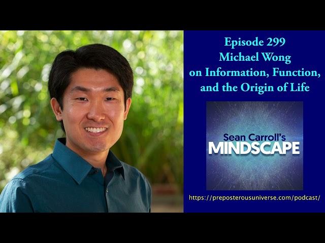 Mindscape 299 | Michael Wong on Information, Function, and the Origin of Life