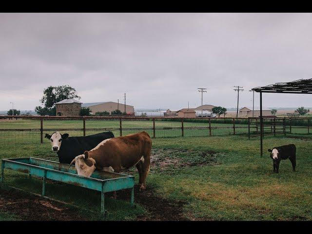 Waggoner Ranch: Iconic Chunk of Texas for Sale at $725 Million