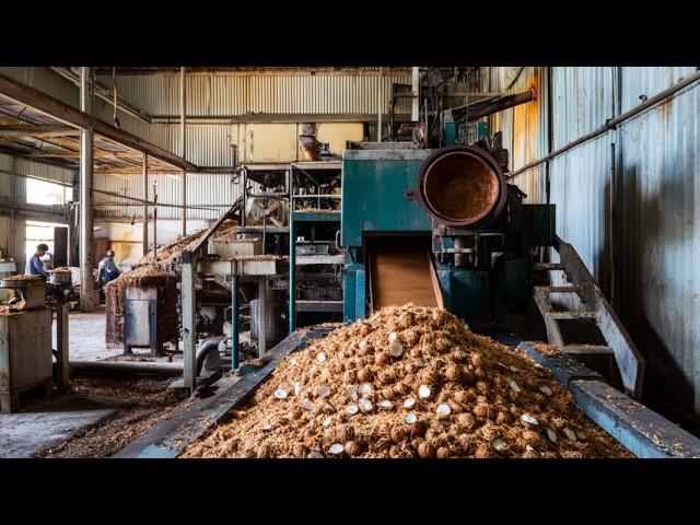 ¿Cómo Se Hace El Aceite De Coco? [Proceso En Fábrica]