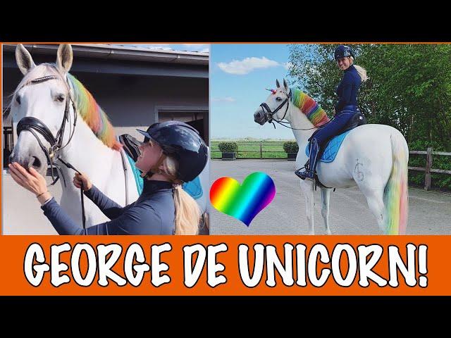 GEORGE OMTOVEREN TOT UNICORN!  | PaardenpraatTV