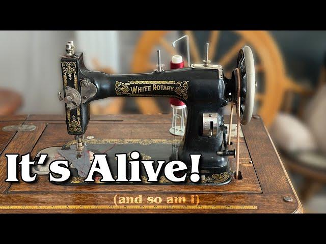 It's been 3 months... | July Update & Prepping my Antique Treadle Machine