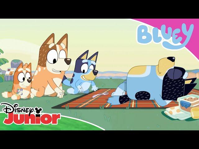  Munții albaștri | Blue | Disney Junior România