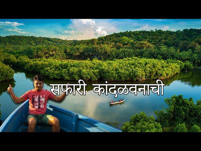 आम्ही अनुभवलेली कांदळवनाची सफर l Konkan boat Ride l Mangroves Forest | कोंकणातील कांदळवने