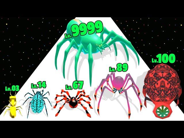 Spider Run Evolve - Level Up Spider Max Level Gameplay (Insects Evolution Run)