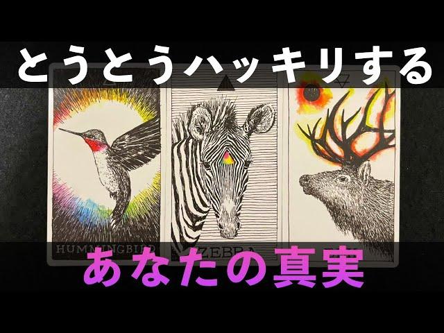 [Shocking‼️] Finally, your truth is revealed️Scary accurateLife-changing oracle card readingF...