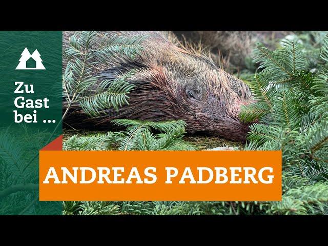 Drückjagd in Sachsen | Sauen | Zu Gast bei … Andreas Padberg | Schwarzwild-Jagd 2022 | Driven Hunt |