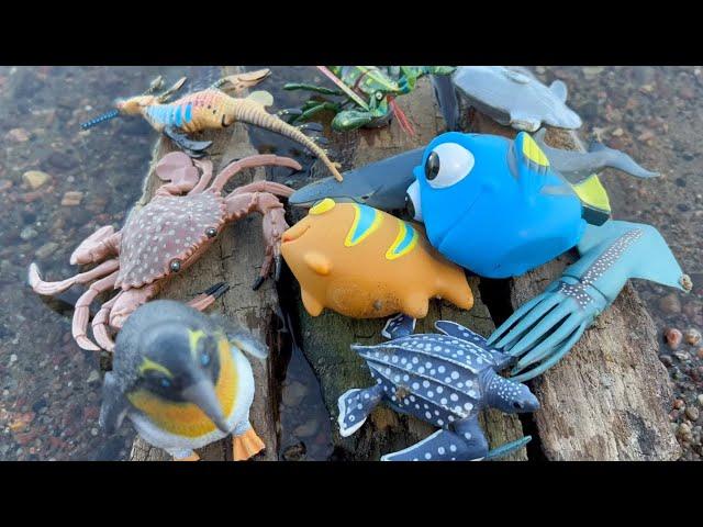 Exploring the Majestic Creatures of the Sea: An Educational Toy Journey