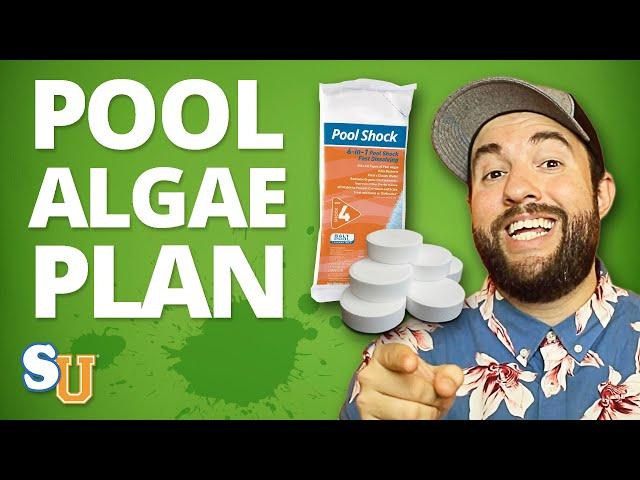 Emergency GREEN POOL WATER Plan [Step-By-Step Guide] | Swim University