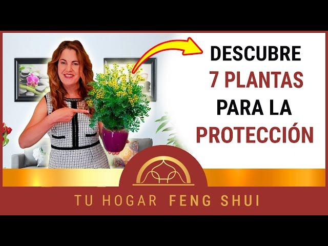  7 PLANTAS PROTECTORAS  para el HOGAR Según el FENG SHUI㊗️