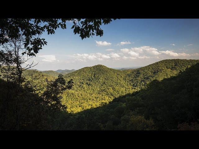 The Nature Conservancy