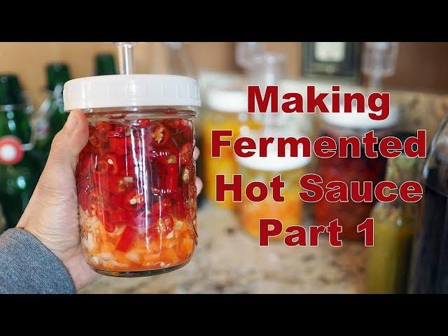 How to Make Fermented Hot Sauce  Part 1