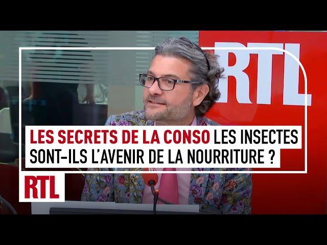 Olivier Dauvers : Les insectes sont-ils l'avenir de la nourriture ?