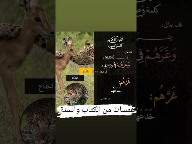 معاني كلمات القرآن