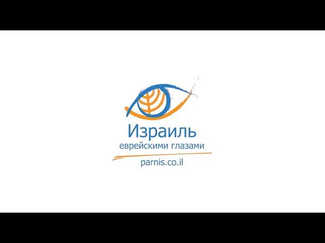 Давид в Хевроне - путь к царству. Новый курс - Танах глазами гида