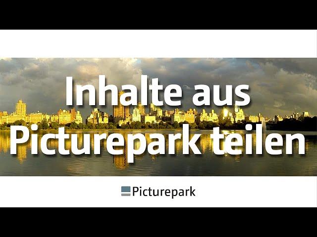 Picturepark DAM: (Digital Asset Management) Inhalte aus Picturepark teilen