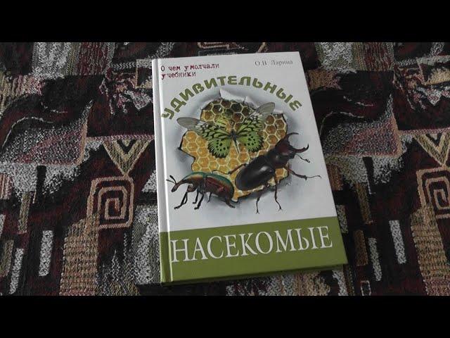 "Удивительные насекомые" (О.В.Ларина, 2017)