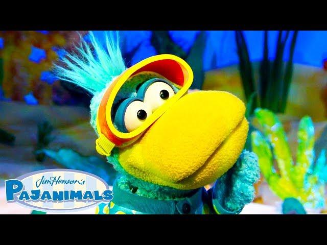 Lots of Pajanimals! | 1+ Hours of Cartoons for Kids | Pajanimals